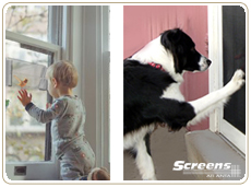 screen mesh